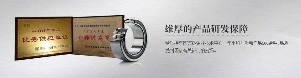 哈軸濟(jì)南銷售有限公司滾動(dòng)軸承，深溝球軸承